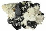 Black Tourmaline (Schorl) Crystals with Orthoclase - Namibia #132198-1